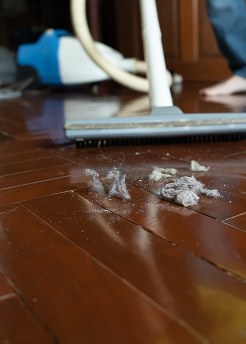 Symbolbild Hausordnung auf der Ratgeberseite der WGF: Staubsauger in Aktion zur Sauberkeit im Hausflur. Foto: Freedomz, Adobe Stock