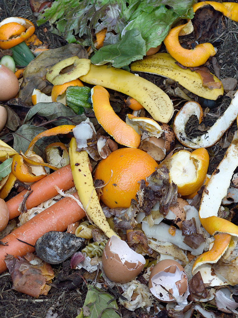 Kompostierbarer Biomüll als Symbolbild für den Ratgeber zur Entsorgung von Biomüll. Foto: con corto, AdobeStock