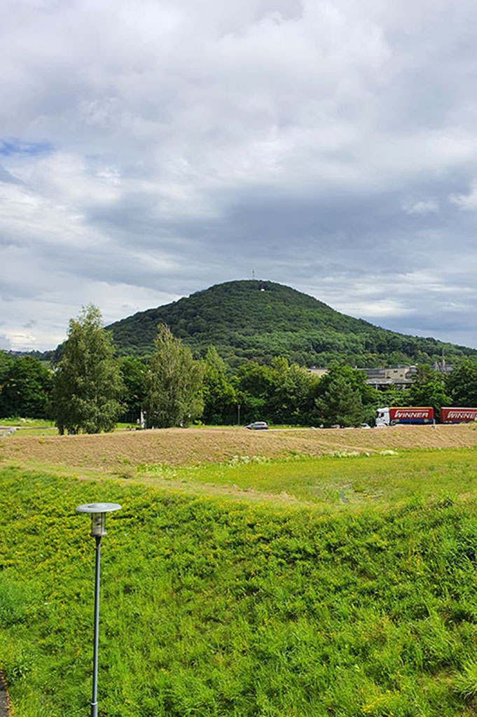 Blick auf den Windberg. Dieser mit Mischwald begrünte Berg ist Freitals höchstee Erhebung. Foto: WGF