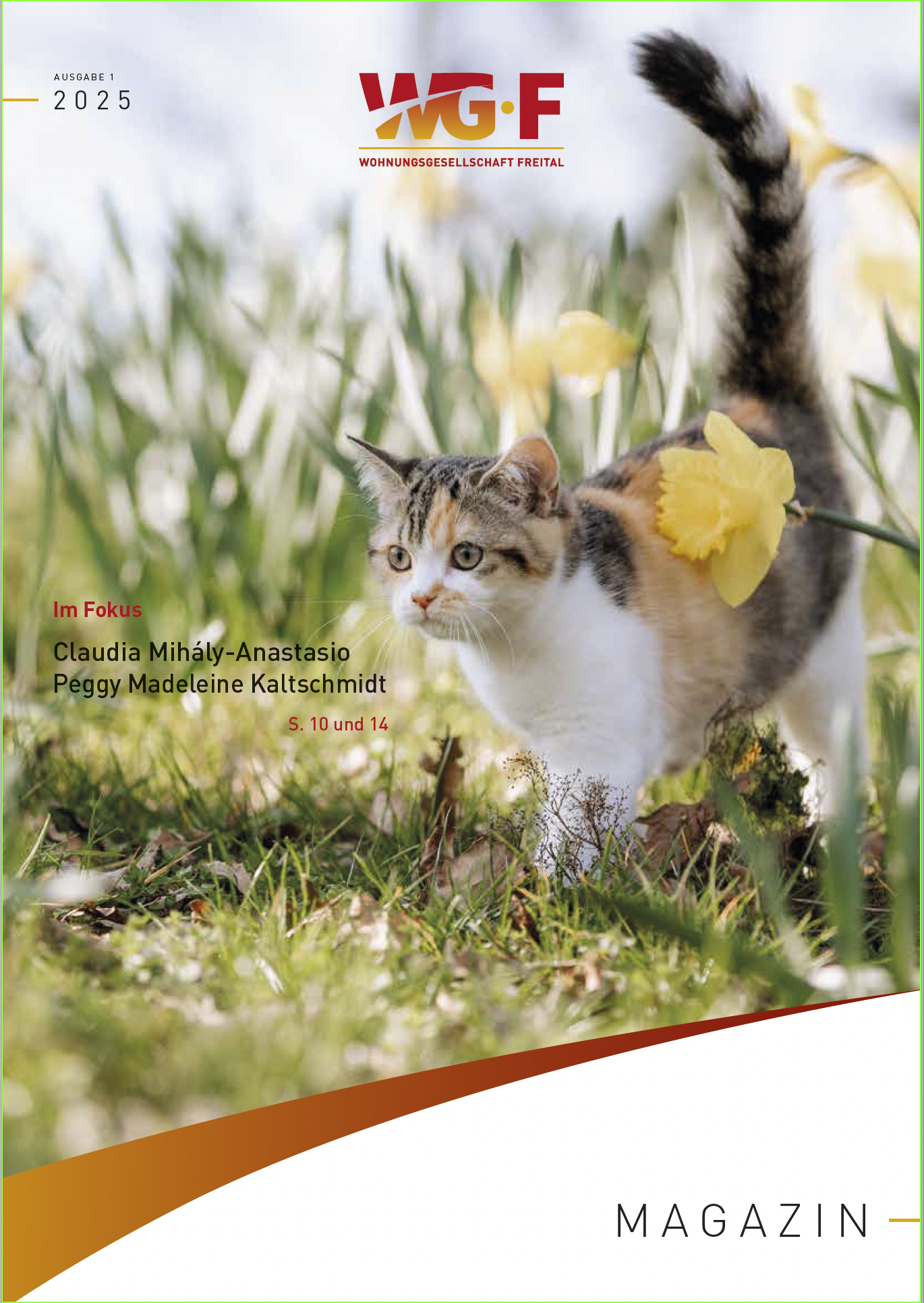 Ausgabe 01/2025: „Cover des Mieter-Magazins 01/2025 mit junger Katze auf Frühlingswiese.“